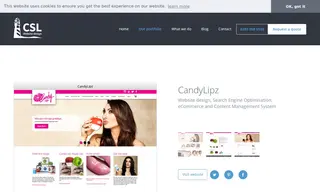 Preview of the CandyLipz Case Study