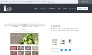 Preview of the Lebloom Case Study