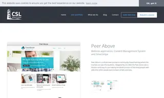Preview of the Peer Above Case Study