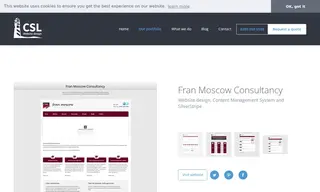 Preview of the Fran Moscow Consultancy Case Study