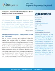 Preview of the Blue Rock Tx Case Study