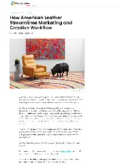 Preview of the American Leather Case Study