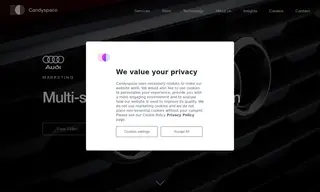 Preview of the Audi Case Study