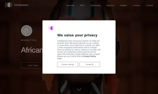 Preview of the African Solutions to African Problems Case Study