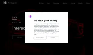 Preview of the Mazda Case Study