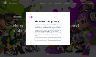 Preview of the Nintendo Case Study