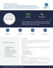 Preview of the Eastern Account Systems Case Study