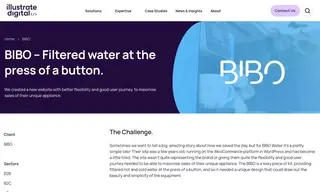 Preview of the BIBO Case Study