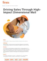 Preview of the Leading Provider of IT Resilience Services Case Study