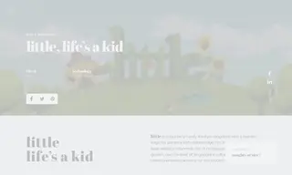 Preview of the little Case Study