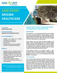 Preview of the Molina Healthcare Case Study