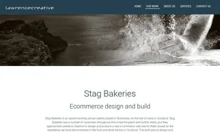 Preview of the Stag Bakeries Case Study