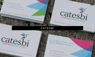 Preview of the Catesbi Case Study