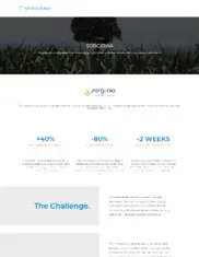 Preview of the Sorgenia Case Study
