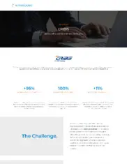 Preview of the Cribis Case Study