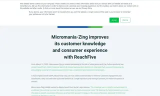 Preview of the Micromania-Zing Case Study