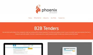 Preview of the B2B Tenders Case Study