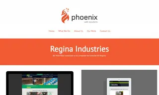 Preview of the Regina Industries Case Study