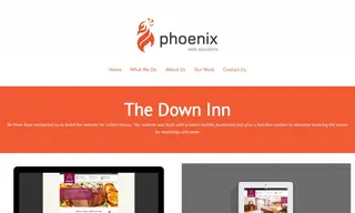 Preview of the The Down Inn Case Study