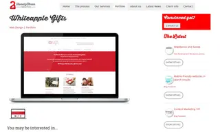 Preview of the Whiteapple Gifts Case Study