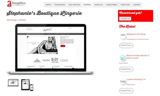 Preview of the Stephanie's Boutique Lingerie Case Study