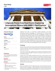 Preview of the Litigando Case Study