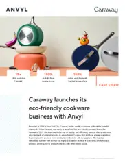 Preview of the Caraway Case Study