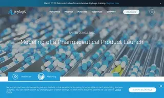 Preview of the Bayser Consulting Case Study