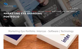 Preview of the Intercax Case Study