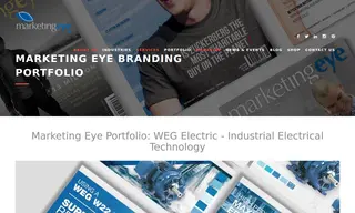 Preview of the WEG Electric Case Study