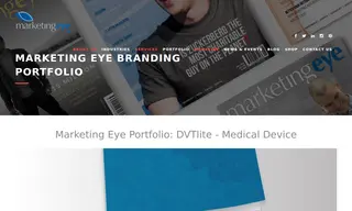 Preview of the DVTlite Case Study