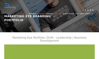 Preview of the DLPA Case Study