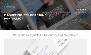 Preview of the Panoptic Solutions Case Study