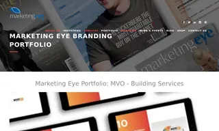 Preview of the MVO Case Study