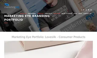 Preview of the Lovesilk Case Study