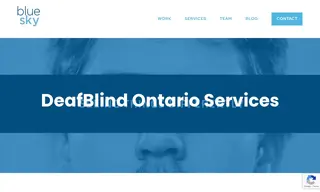 Preview of the DeafBlind Ontario Services Case Study