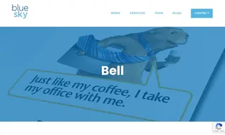 Preview of the Bell Case Study