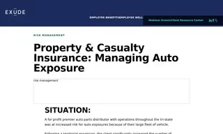 Preview of the Leading For Profit Premier Auto Parts Distributor Case Study