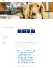 Preview of the Banfield Pet Hospital Case Study