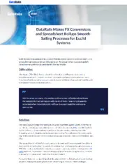 Preview of the Euclid Systems Corporation Case Study