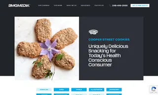 Preview of the Cooper Street Cookies Case Study