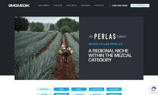 Preview of the Raicilla Las Perlas Case Study