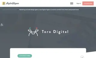Preview of the Toro Digital Case Study