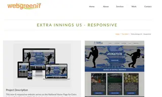 Preview of the Extra Innings Franchise Company Case Study