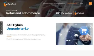 Preview of the Luxury Baggage Company Case Study