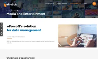 Preview of the Media and Entertainment Company Case Study