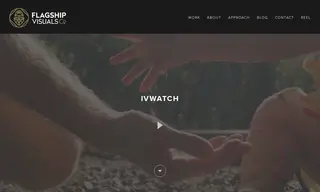 Preview of the ivWatch Case Study