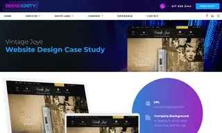 Preview of the Vintage Joye Case Study