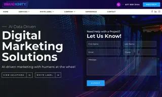 Preview of the Chameleon Digital Agency Case Study