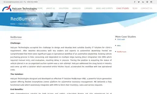 Preview of the RedBumper Case Study